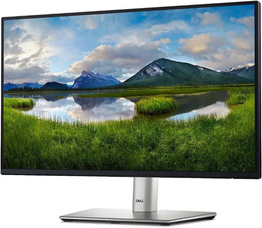 Monitor Dell P2425H 24" | Full HD | IPS | 100Hz | HDMI | DisplayPort | USB Hub